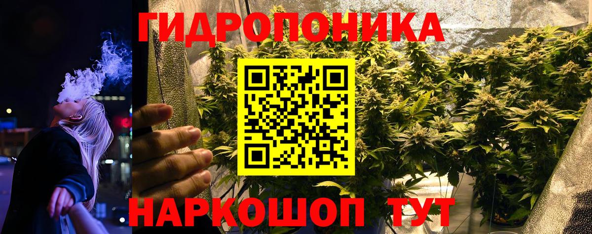 Бошки Шишки MAZAR  Марихуана конопля  Вход с VPN  Фролово 